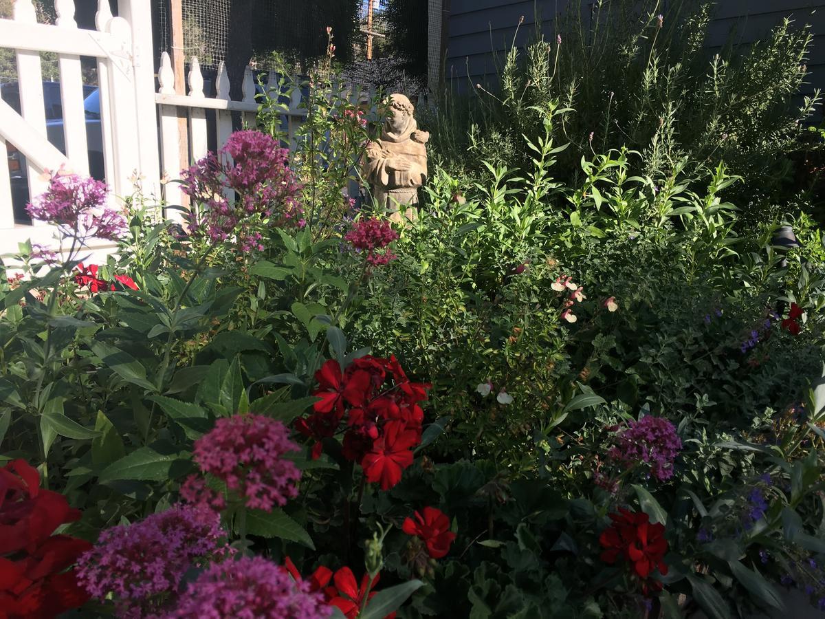 Olallieberry Inn Bed And Breakfast Cambria Exterior photo